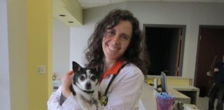 Compassionate Care Animal Hospital Michele Forbes