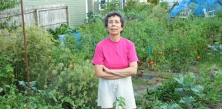 Ann Arbor Tomato