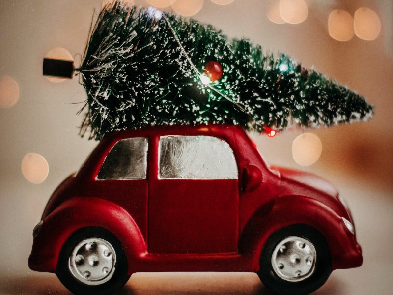 Christmas Tree DropOff Available Until January 18 Ann Arbor Family