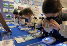 Ann Arbor Open House Guide 2025